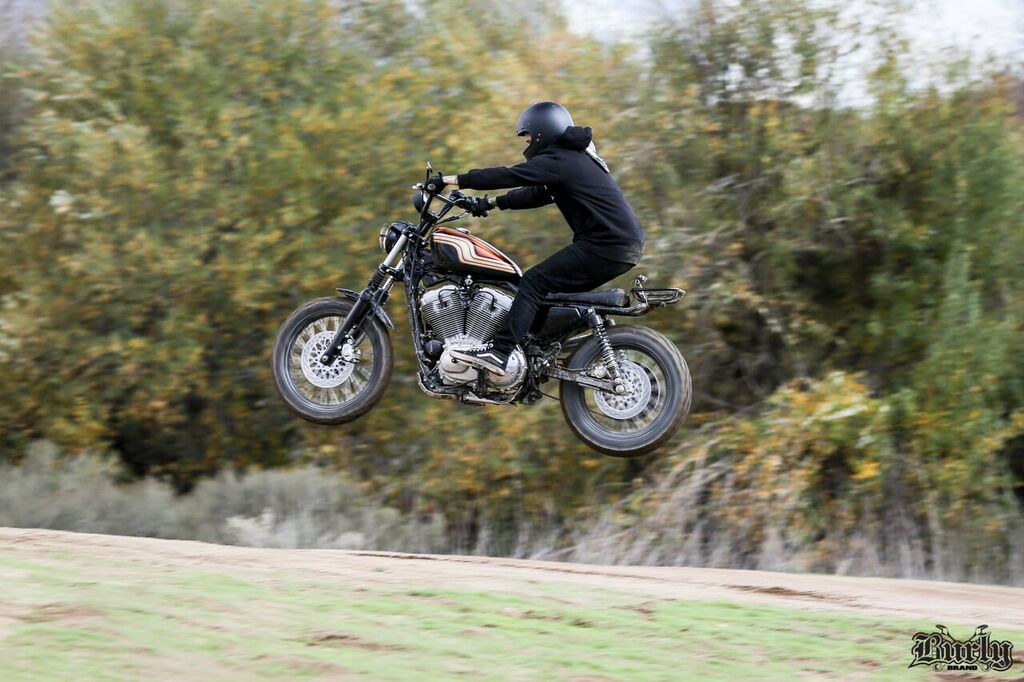 When Pigs Fly | The Burly Brand Sportster Scrambler