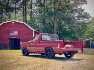 Bricknose Ford F150