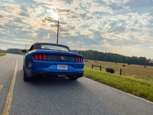 Blue Ecoboost Mustang Convertible rear