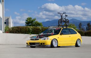 Yellow EK hatch