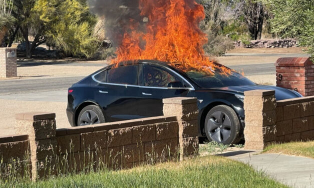 Tesla lawsuits – Hate to say I told you so.