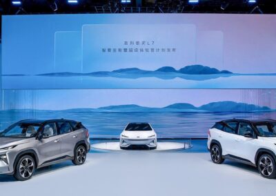 French government having to battle Chinese EVs