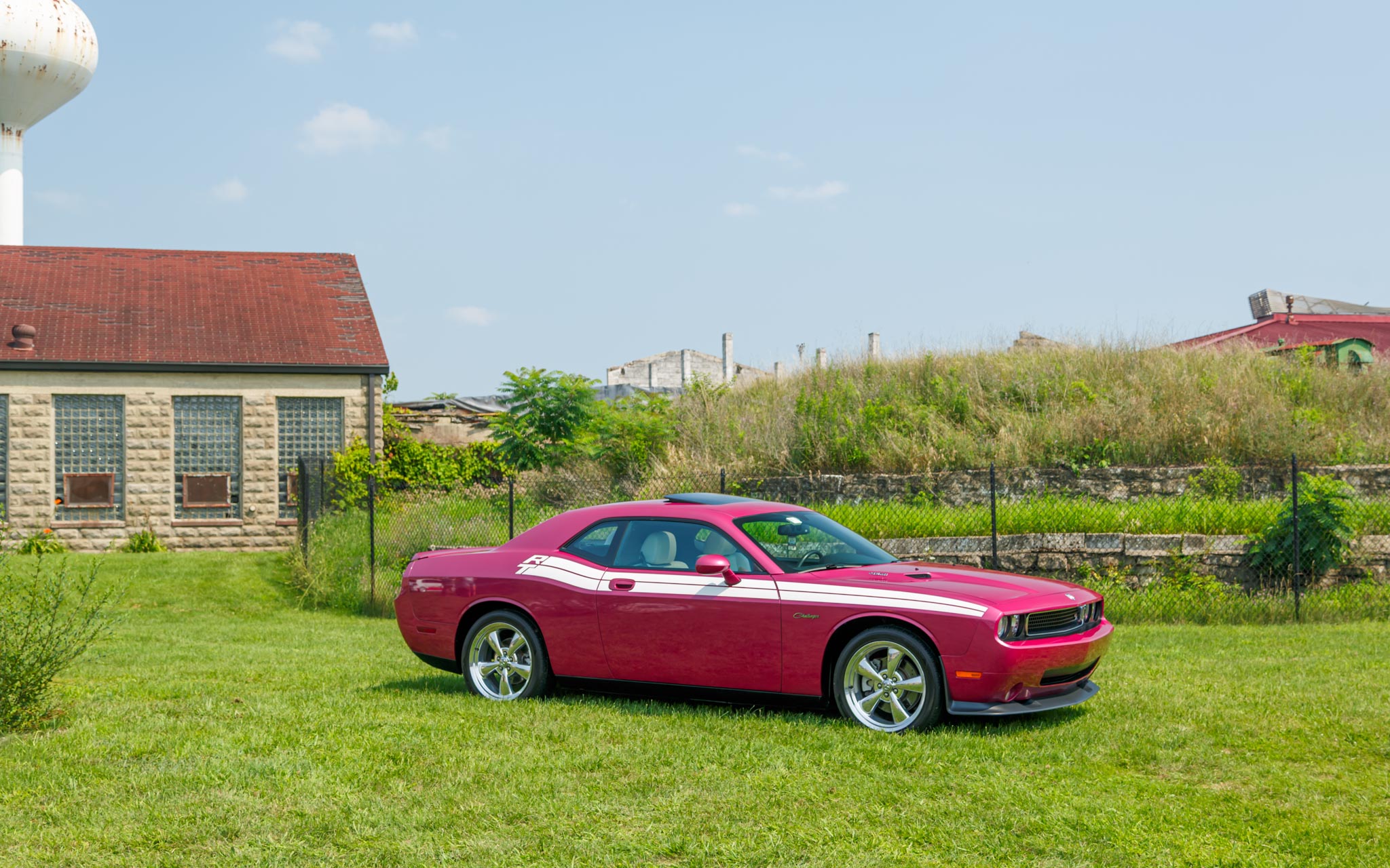 pink Challenger