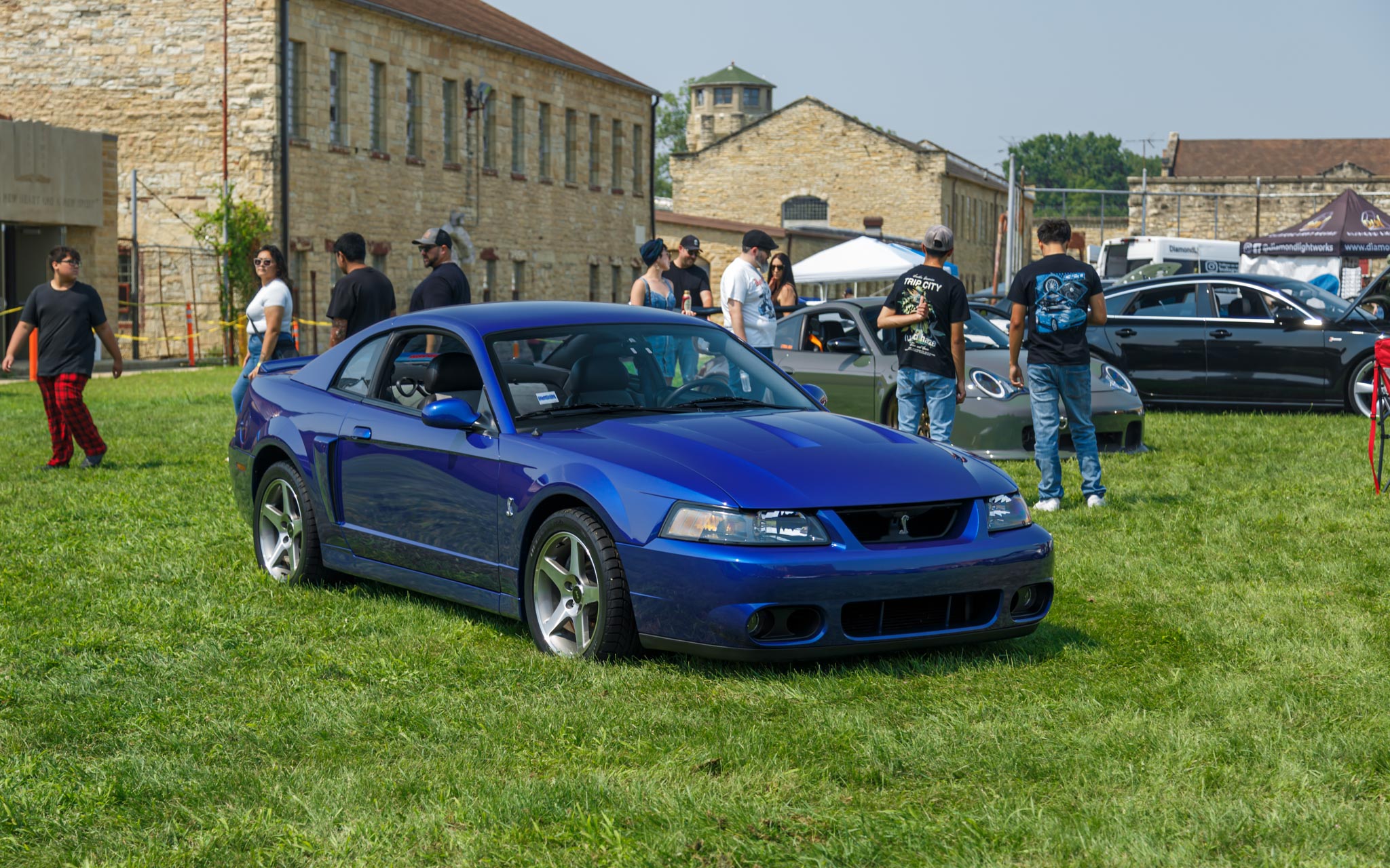 terminator Mustang