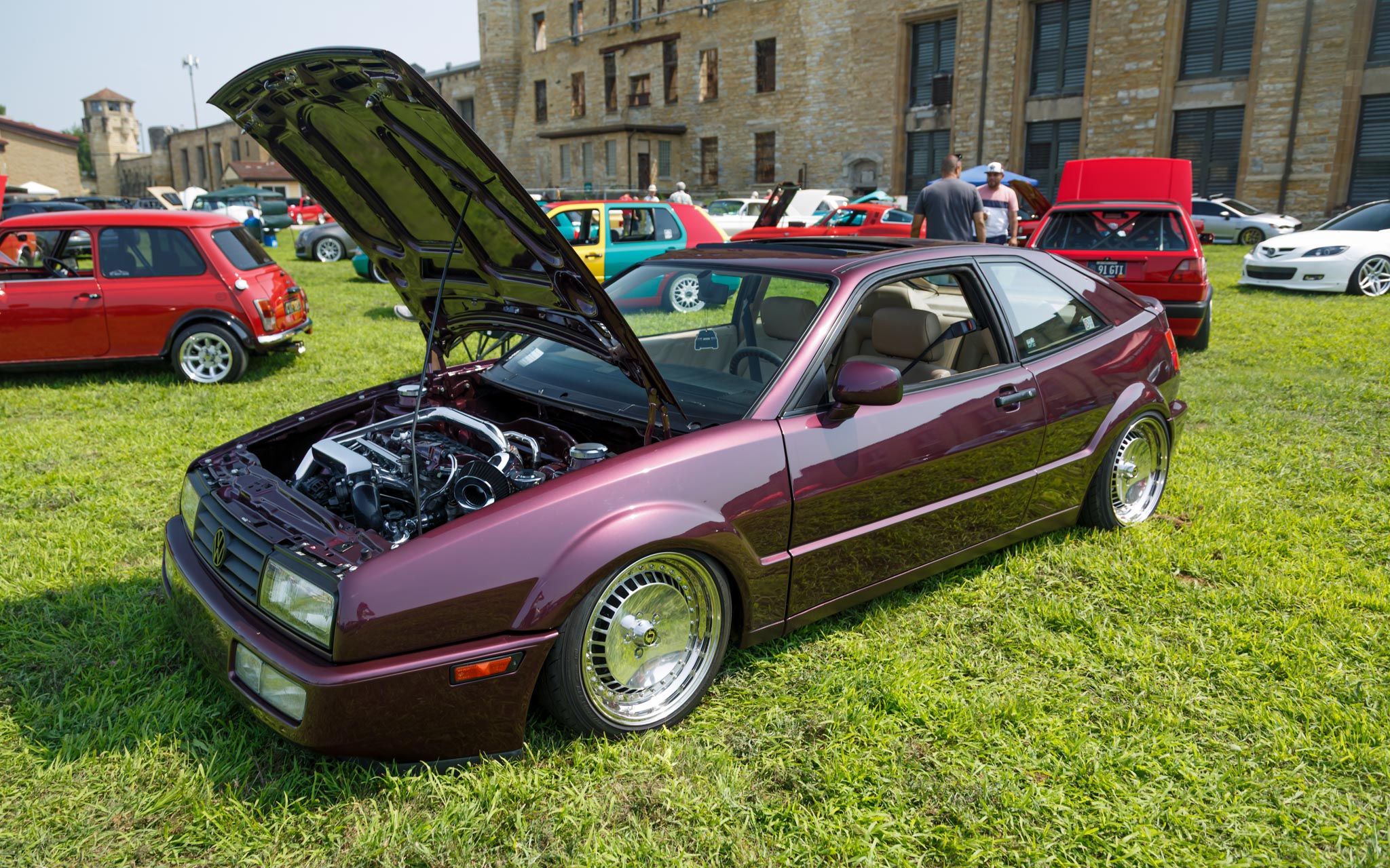 Corrado Purple