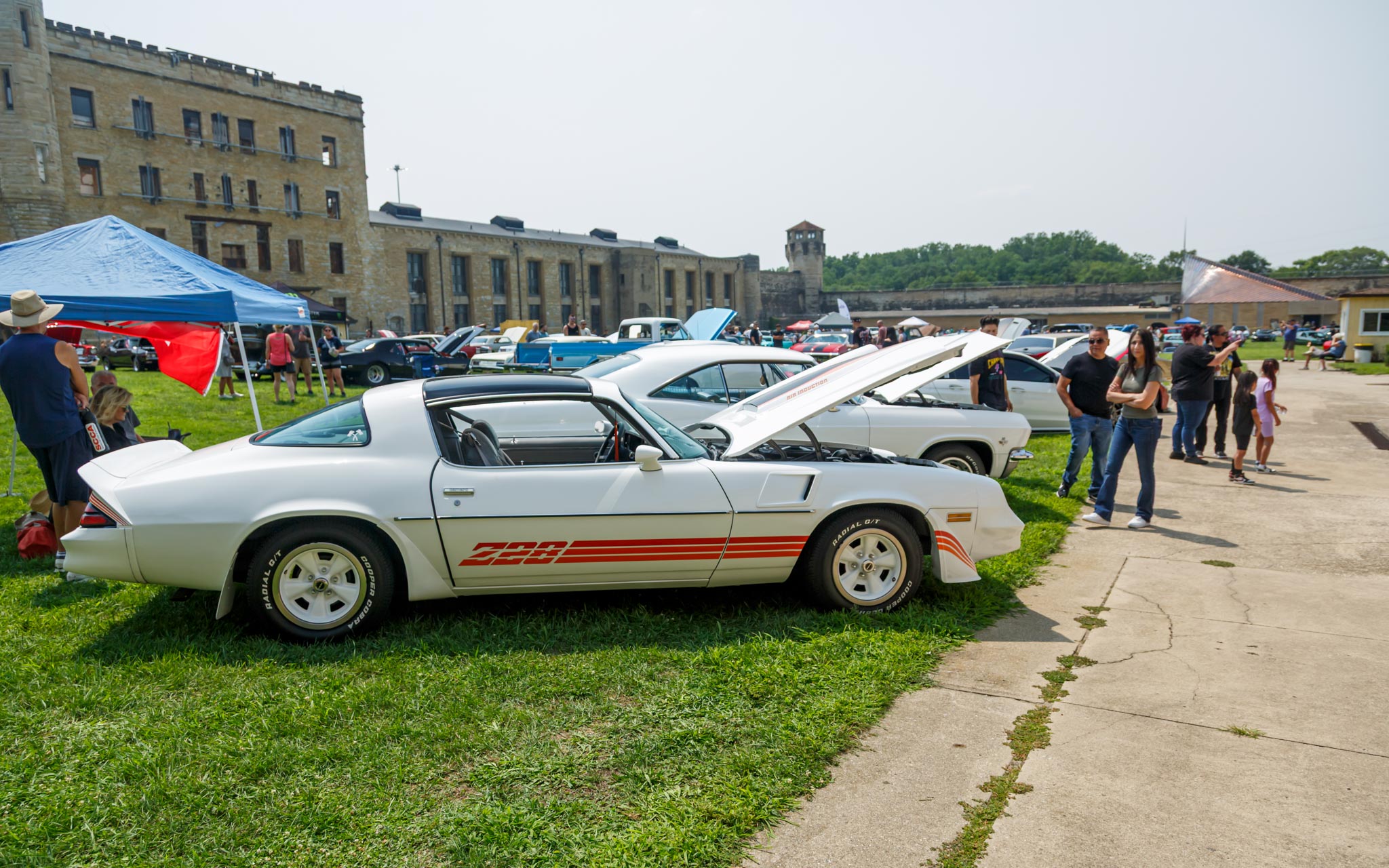 trans am