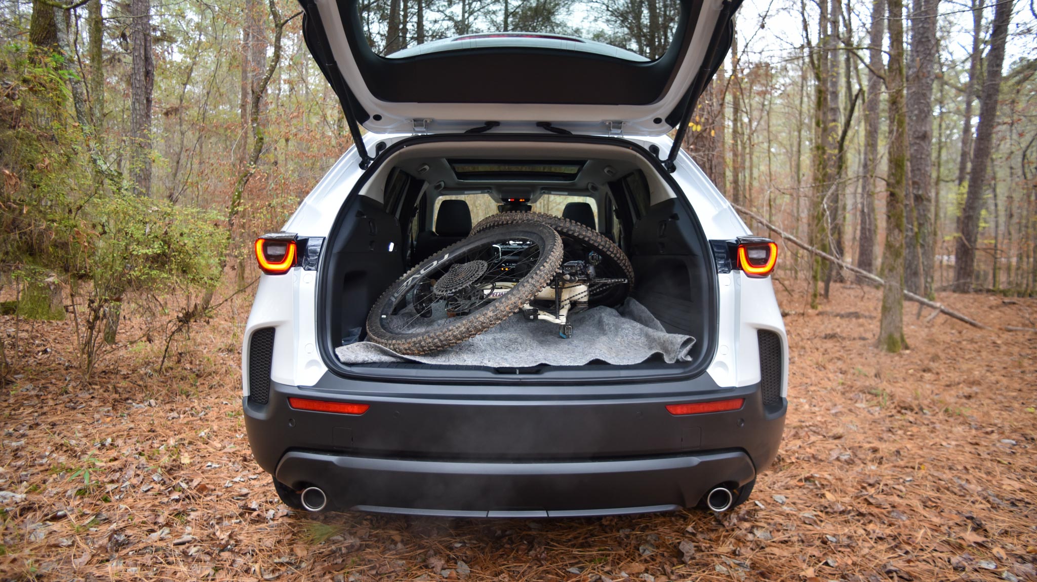 Mazda CX-50 rear cargo