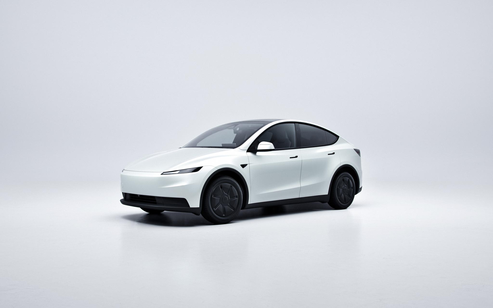Model y