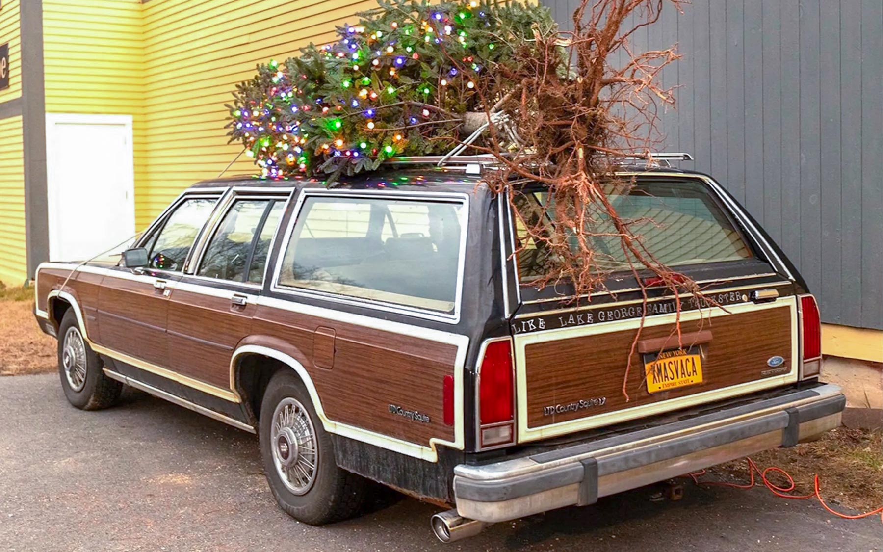 The Rise, Fall, and Hopeful Return of Station Wagons | S3 Magazine