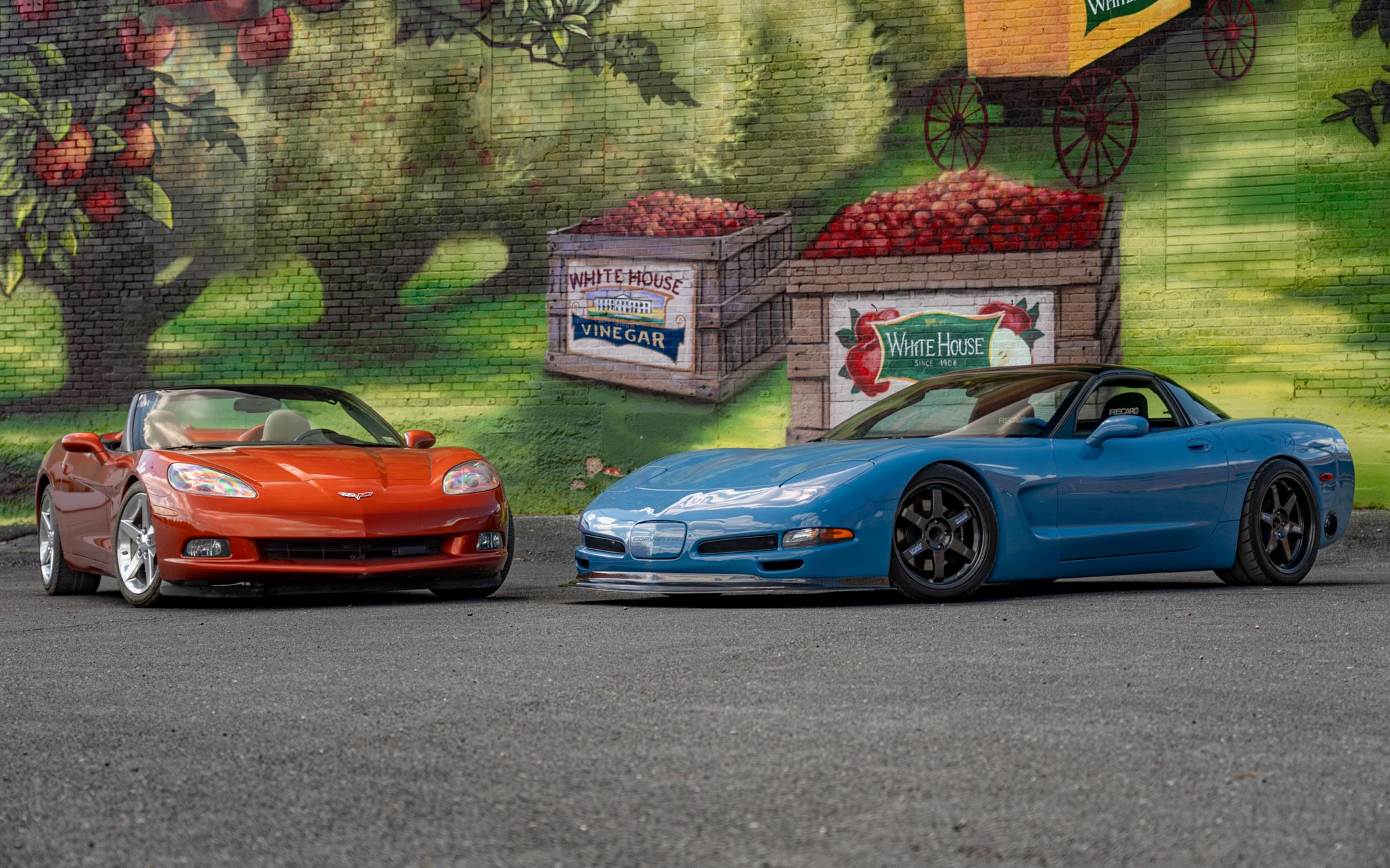 Corvette family