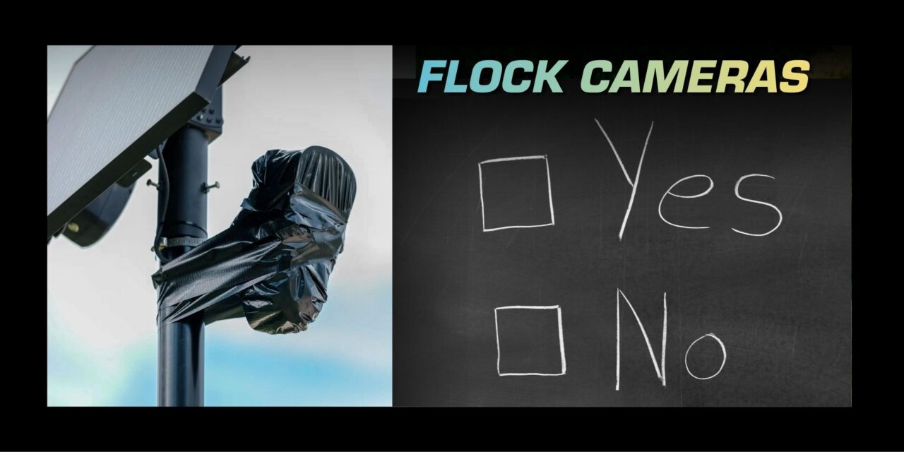Flock Cameras – False Positives, Real Consequences