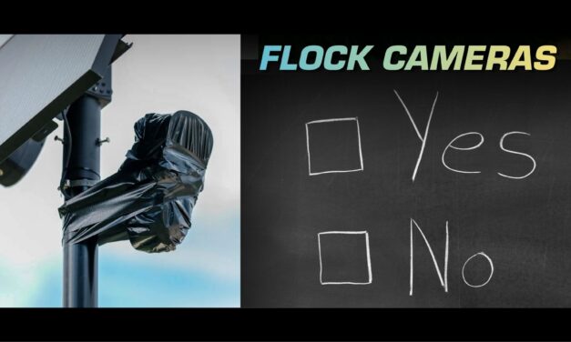 Flock Cameras – False Positives, Real Consequences