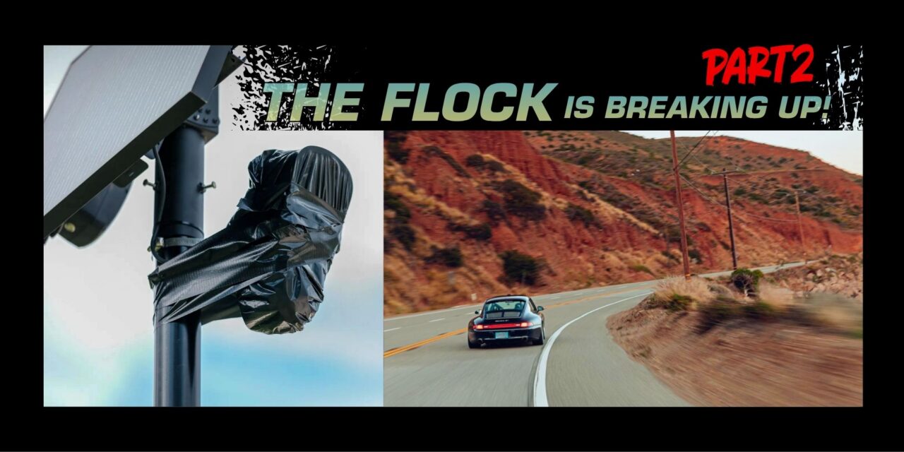 The Flock Is Breaking Up – Part 2