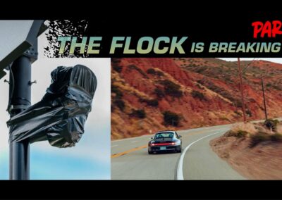The Flock Is Breaking Up – Part 2
