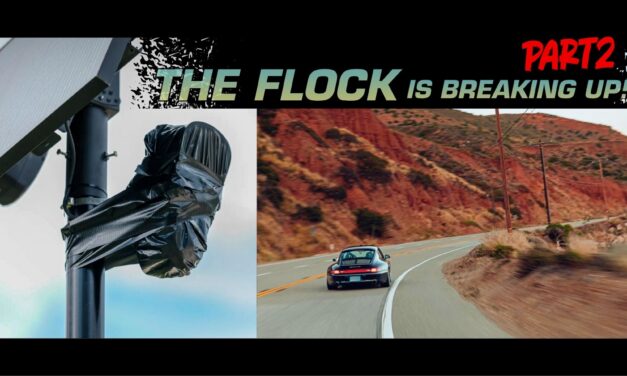 The Flock Is Breaking Up – Part 2