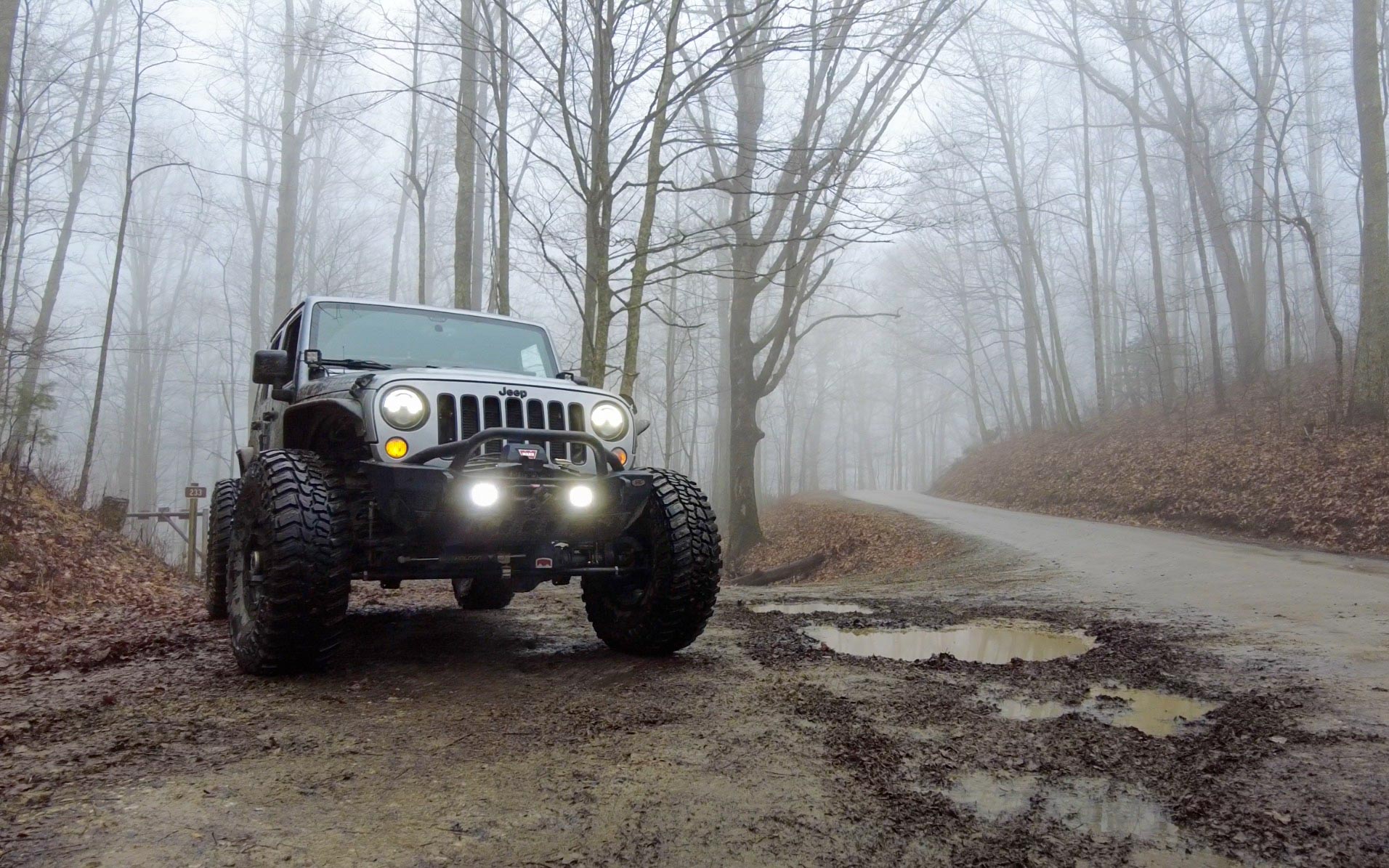 Jeep in fog