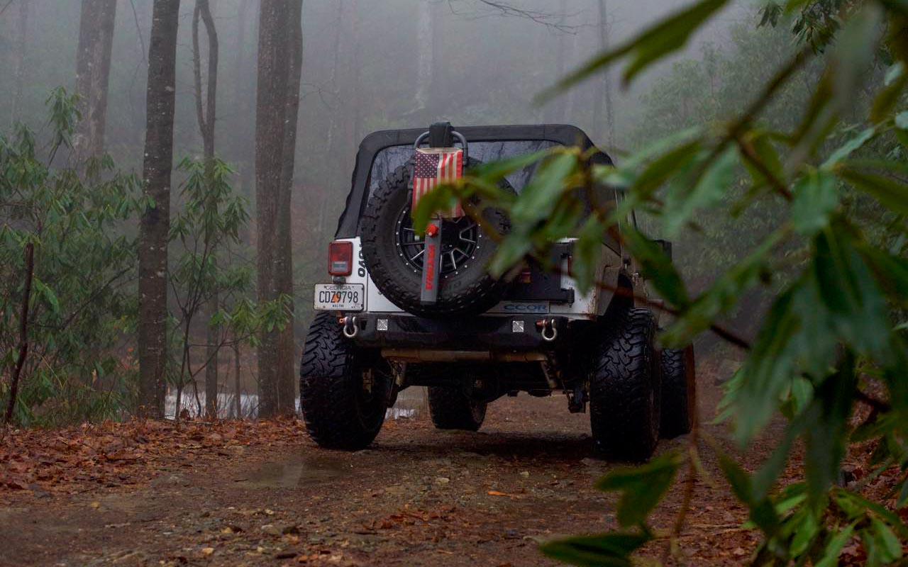 Jepe in the woods ominous weather